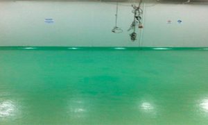 RIG-servicio-y-aplicacion-300x180